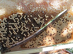 cadre avec un jambage fait à l'aide d'une baguette de noisetier