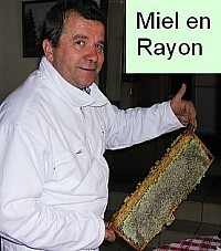 Bernard NICOLLET pr�sente son miel en Rayon complet: 1,5 kg de miel = 33 euros, rayons de 2 kg minimum = 44 euros