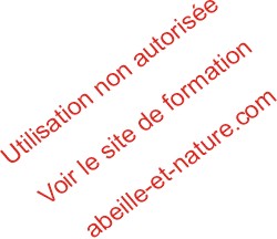 enfumoir: allumage du rouleau