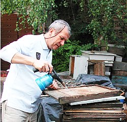 Ruche d'occasion = Huile de coude en r�serve
