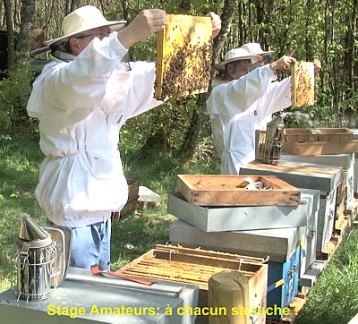 Formation Apiculture Sud-Ouest Toulouse