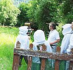 Stages de Formation en Apiculture & reconversion professionnelle