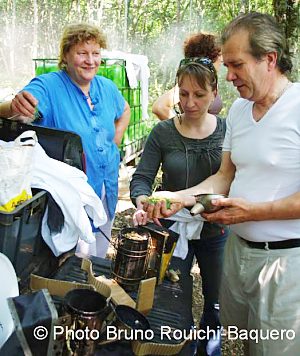 formation apiculture