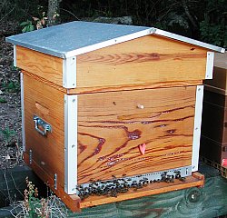 Une ruche bois protégée par l'huile de lin