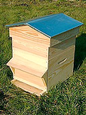Ruche Dadant avec son toit chalet et un auvent pour la protection de la planche d'envol