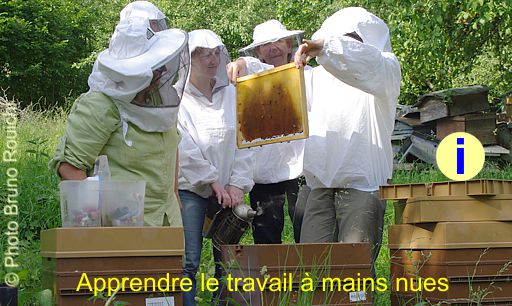 découvrez le site de la formation en apiculture