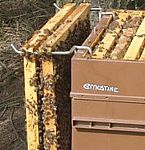 Plus jamais de cadres par terre !