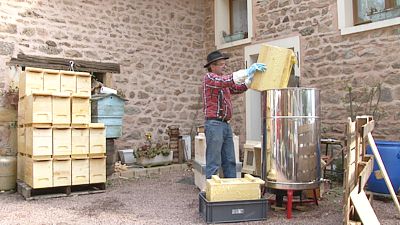 Trempage d'un corps de ruche dans un fût d'huile de lin bouillonnant