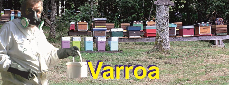 traitement-varroa.jpg