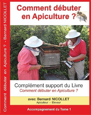 Comment débuter en Apiculture débutant