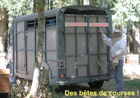 une activité saine et naturelle