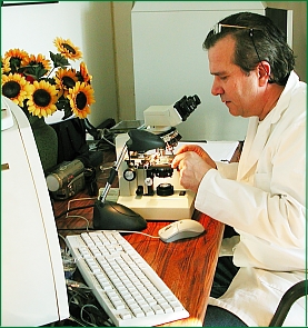 Abeille et nature : Bernard NICOLLET dans l'étude biometrique des abeilles.