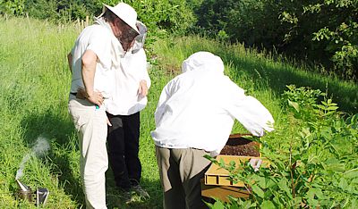 Pratique en apiculture naturelle