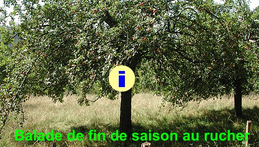 Balade de fin de saison