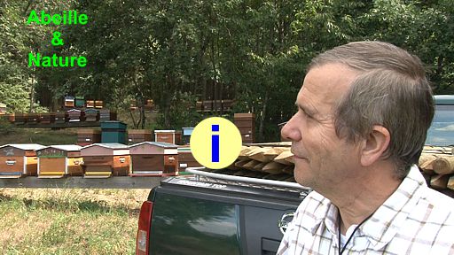 La mortalité hivernale des abeilles