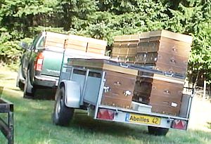 Apiculture: déplacement de ruches plastiques Nicot