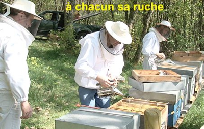 Une fois expliquée, l'apiculture n'est pas compliquée