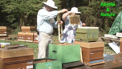 Bergers des abeilles, Christine et Bernard NICOLLET prennons grand soin de nos abeilles qui évoluent dans une zone certifiée Bio, exempte de cultures et pesticides.