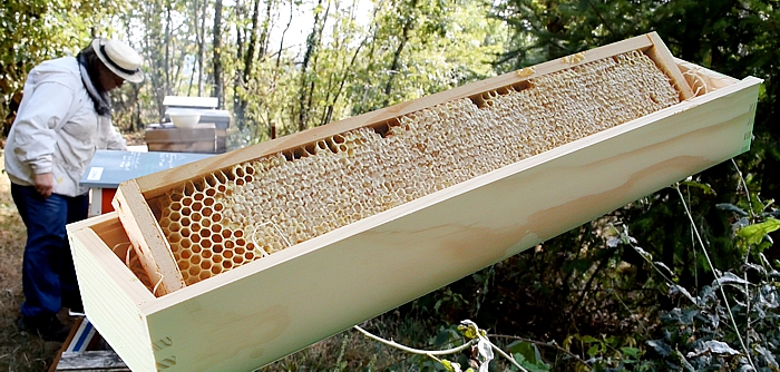 Le Miel en rayon est issu directement de nos ruches. C'est un produit 100% naturel