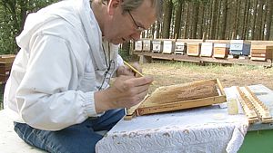 Chez Abeille et Nature, nous ne travaillons pas en industrie mais privilégions le travail naturel des abeilles