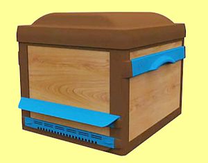 Ruche Plastique Apizo pour élever des abeilles sans souci 