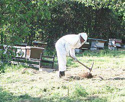Commencez par installer votre futur rucher