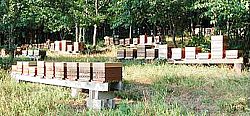 installation de vos ruches sur place. Nous intervenons sur tout le territoire national métropolitain.