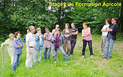 Formez vous et créez un complément du revenu agricole