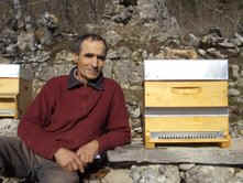 Le cours d'apiculture par internet
