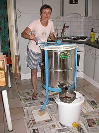 Le cours d'apiculture par internet